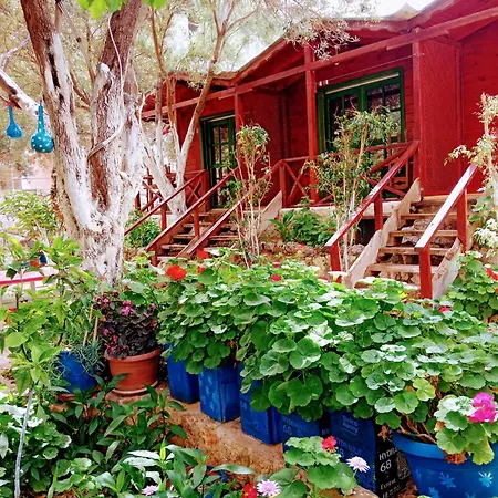Efe * Kaş