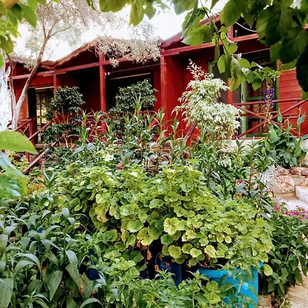 Ξενοδοχείο Efe Κας