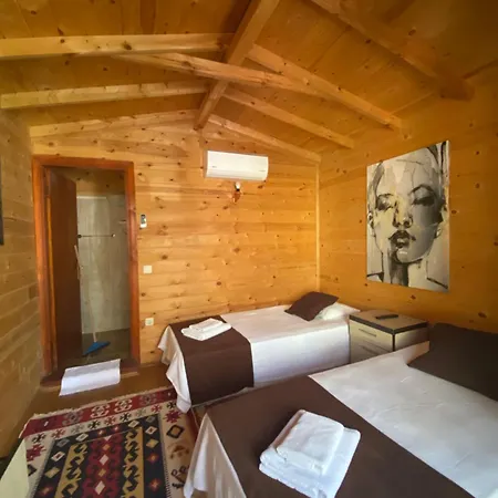 Hotell Efe *